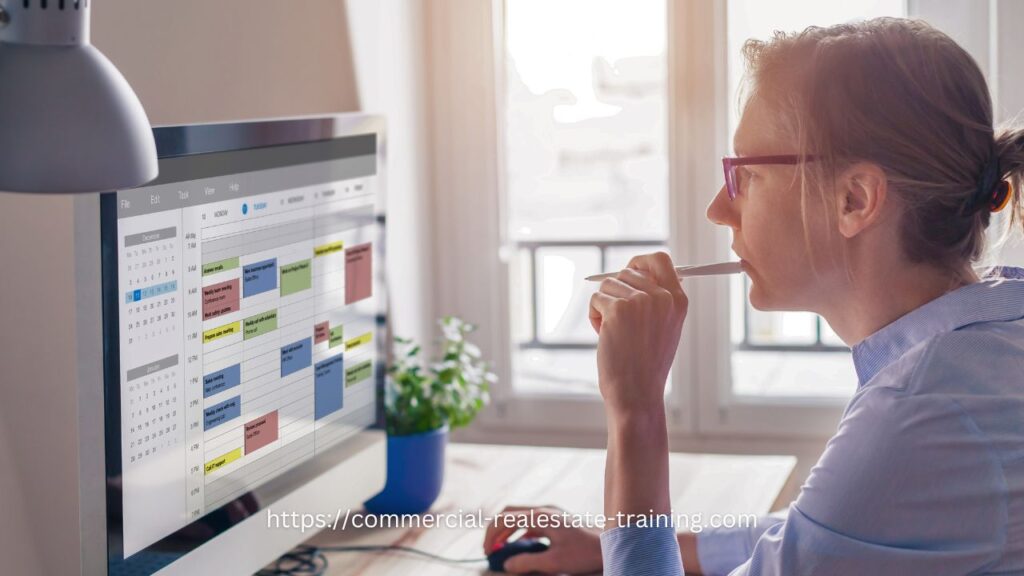 woman looking at diary on computer screen